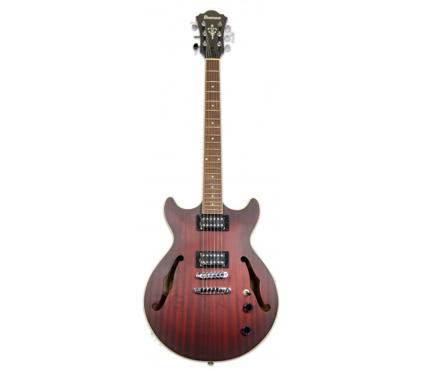 ibanez-am53-srf-artcore_5ffc47703c06e.jpg