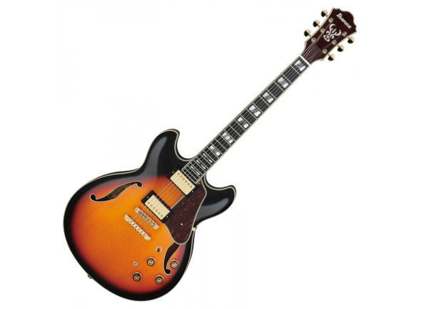 ibanez-as113-bs_621f95702efef.jpg