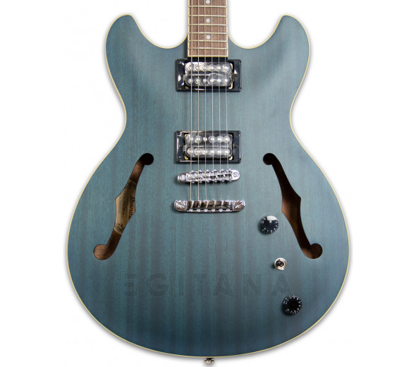 ibanez-as53-tbf_5ffc72ffe7b89.jpg