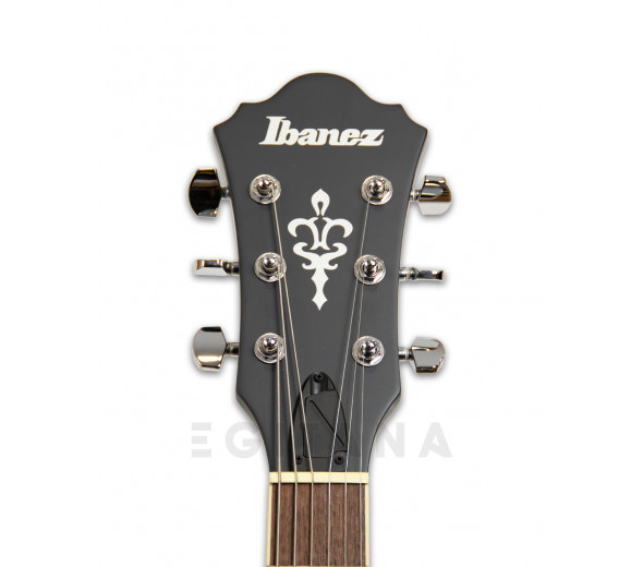 ibanez-as53-tbf_5ffc73019cbf6.jpg