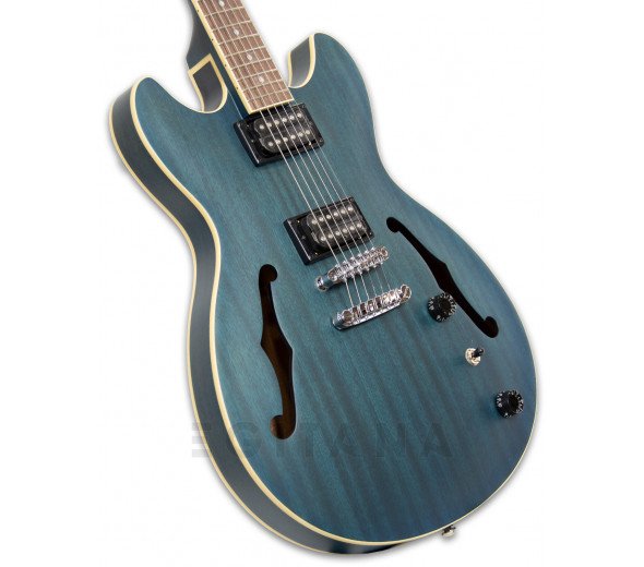 ibanez-as53-tbf_5ffc7302667b5.jpg