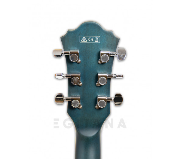 ibanez-as53-tbf_5ffc73033e2a9.jpg