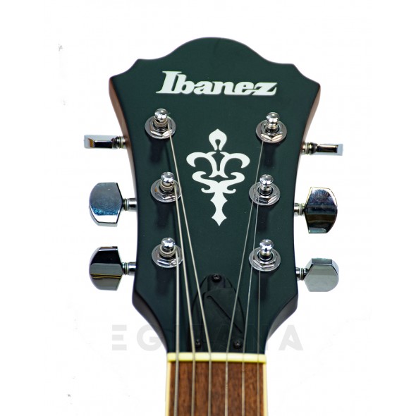 ibanez-as53-tf_5efe0158b0a07.jpg