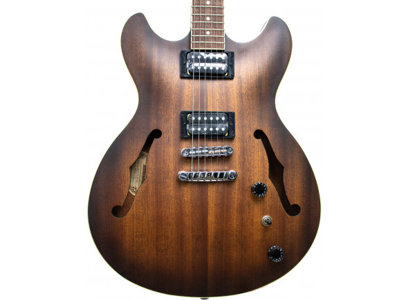 ibanez-as53-tf_620aa2fec7540.jpg