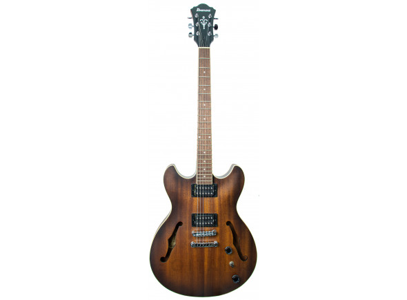 ibanez-as53-tf_620aa300b013f.jpg