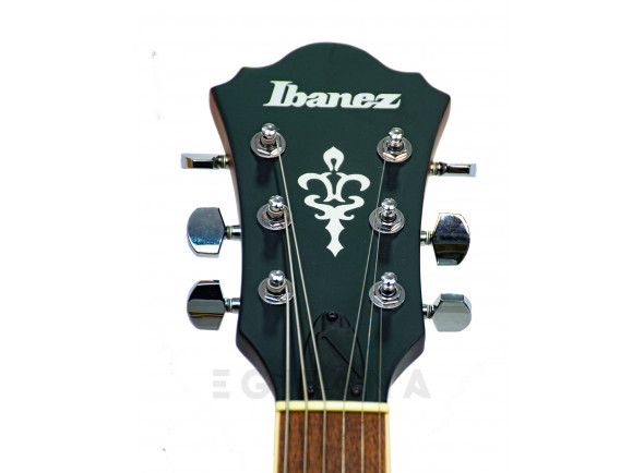 ibanez-as53-tf_620aa3028ce35.jpg