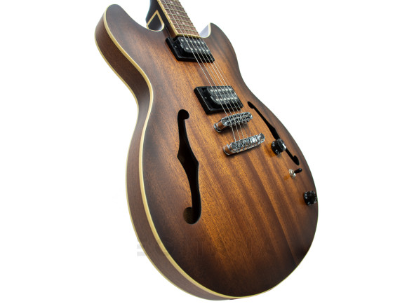 ibanez-as53-tf_63444c5dc51cf.jpg