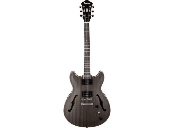 ibanez-as53-tkf-artcore_5c95137b064a2.jpg