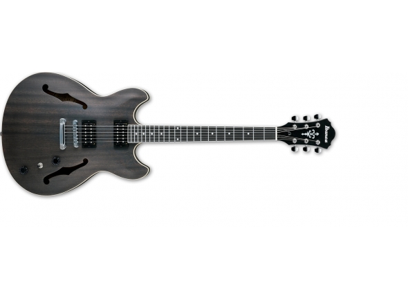 ibanez-as53-tkf-artcore_5c95137d93c42.jpg