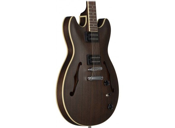 ibanez-as53-tkf-artcore_5c95137e1cb70.jpg