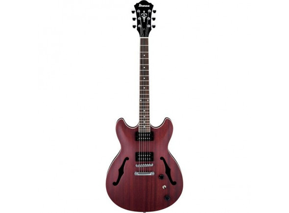 ibanez-as53-trf_604a06f44c8c5.jpg