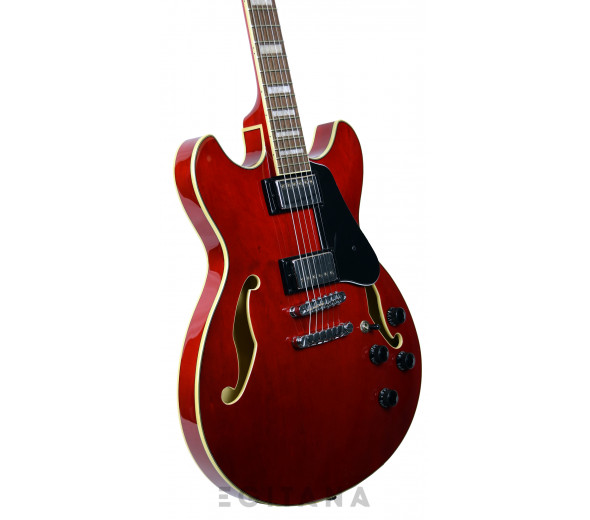 ibanez-as73-tcd_6139d9004ba7f.jpg