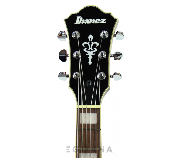 ibanez-as73-tcd_6139d901606ba.jpg