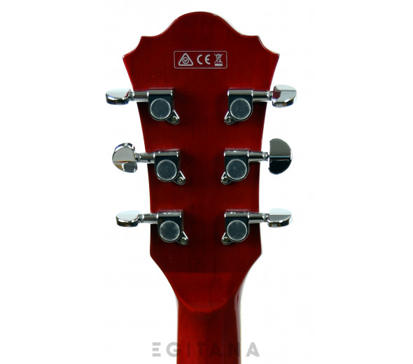 ibanez-as73-tcd_6139d902730df.jpg