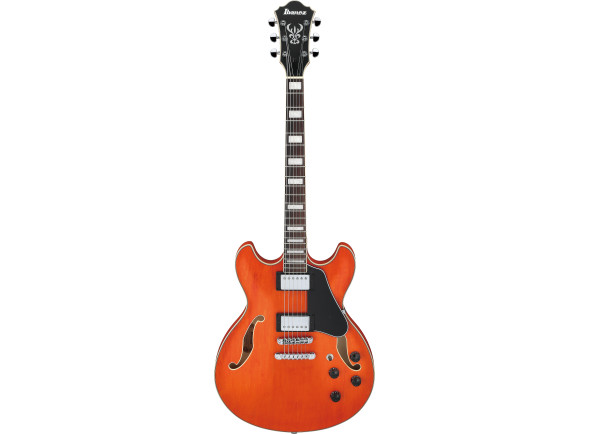 ibanez-as73-ttf_67d8518fe045d.jpg
