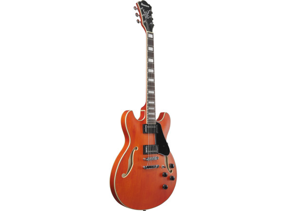 ibanez-as73-ttf_67d8519b09555.jpg