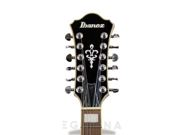 ibanez-as7312-tcd_63074209a0802.jpg