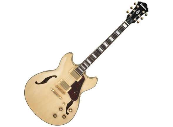 ibanez-as73g-nt_5dcd753dc477f.jpg