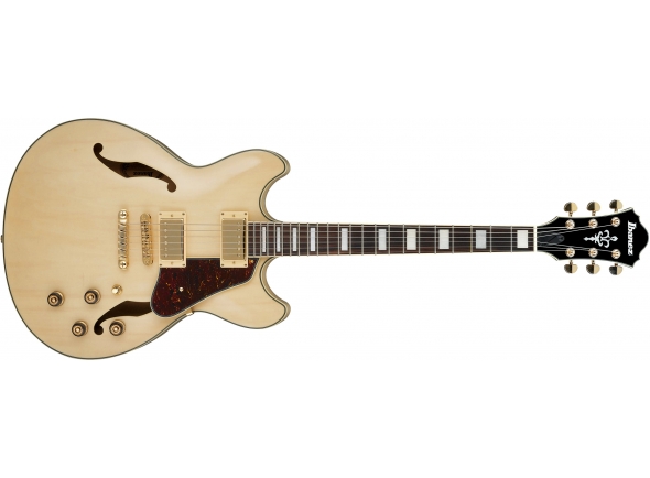 ibanez-as73g-nt_5dcd753e4920d.jpg