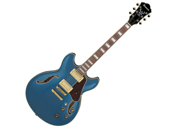 ibanez-as73g-pbm_621f999852011.jpg