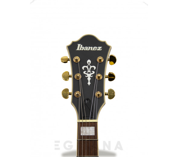 ibanez-as73gbkf_6058b04cad95e.jpg