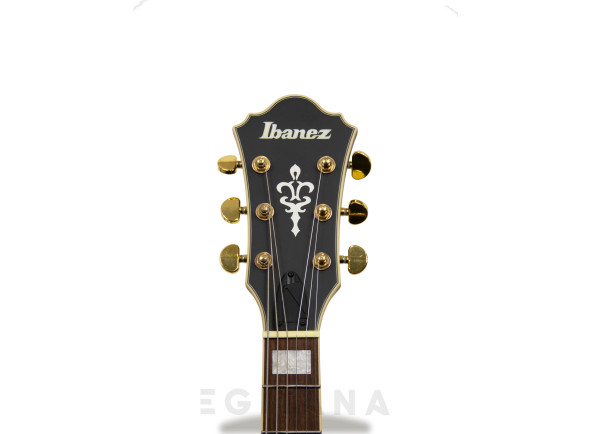 ibanez-as73gbkf_63341815e2999.jpg