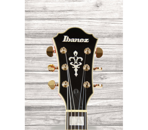 ibanez-as93fm-tcd_60a29799c0005.jpg