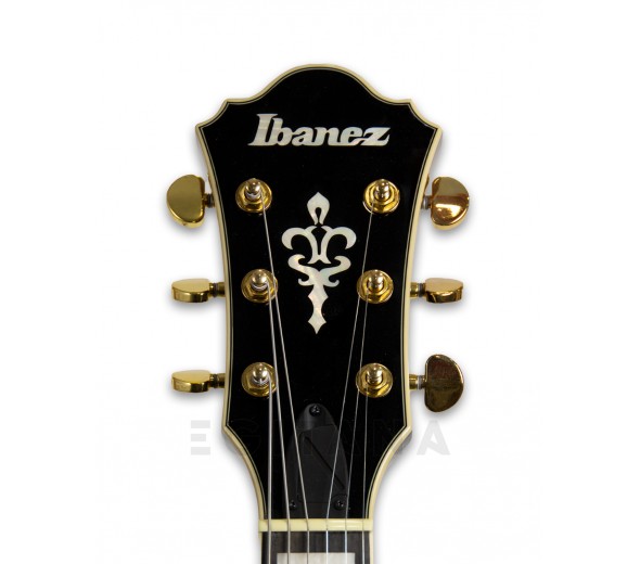 ibanez-as93fm-vls_5fbe732262c87.jpg