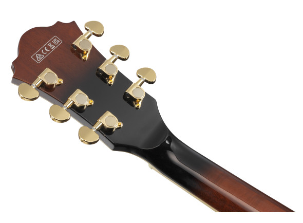 ibanez-as93qmsp-dbs_6797536a4af9a.jpg
