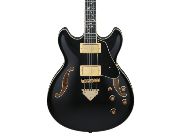 ibanez-as93sp-bk_67975534503b9.jpg