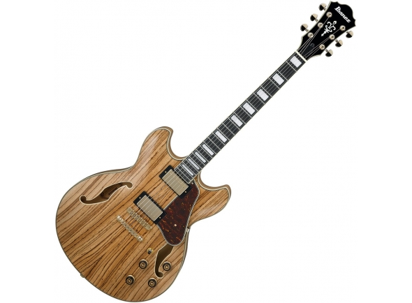 ibanez-as93zw-nt_5c94fb299c9cd.jpg