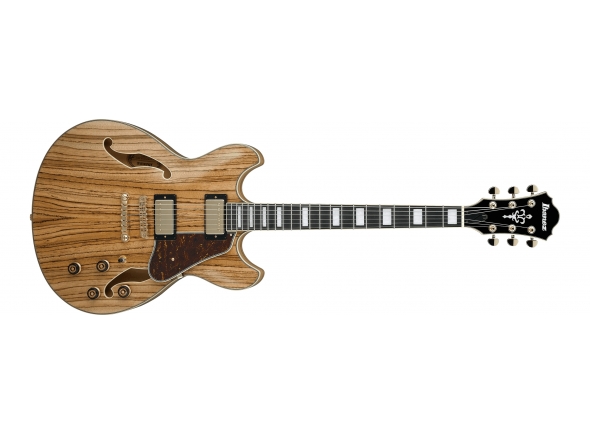 ibanez-as93zw-nt_5c94fb2a697c0.jpg