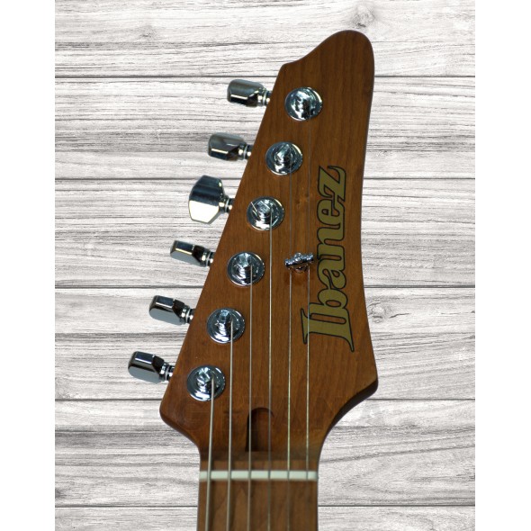 ibanez-az224f-bi_5f0d8c329d0b1.jpg