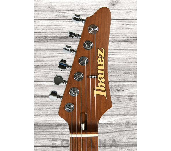 ibanez-az2402-tff_632dda76cc9a2.jpg