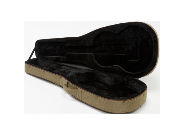 ibanez-classic-guitar-case-fs40cl_5dc4533cec56b.jpg