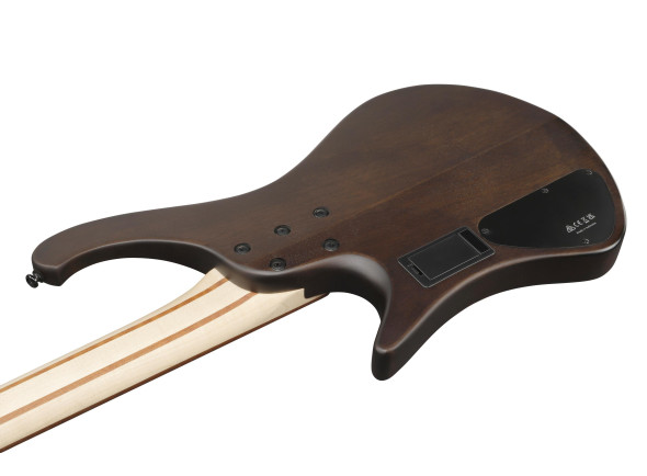 ibanez-ehb600-wnf-walnut-flat_691dfa18def7b.jpg