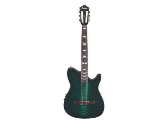 ibanez-frh20fmn-dgl_68f101eb39404.jpg