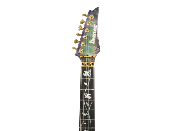 ibanez-iv2rg-visions-rg_6ad0e59f69caa.jpg