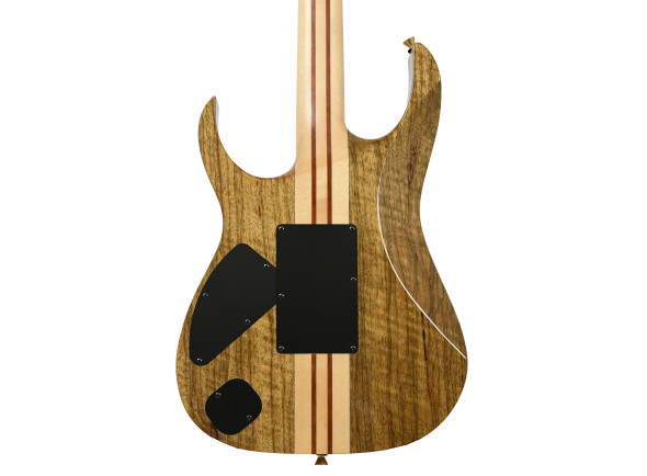 ibanez-iv2rg-visions-rg_6ad0e5a443efb.jpg