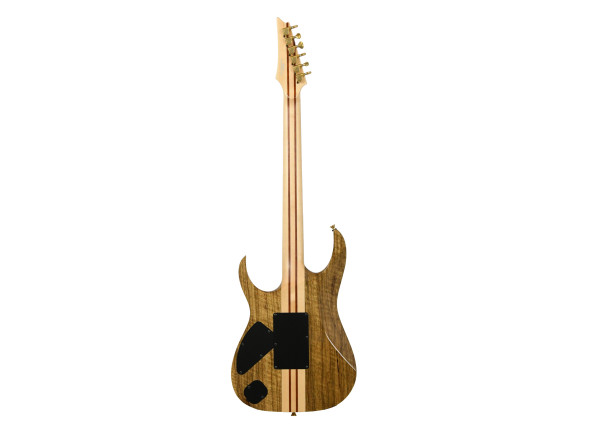 ibanez-iv2rg-visions-rg_6ad0e5a6bfeac.jpg