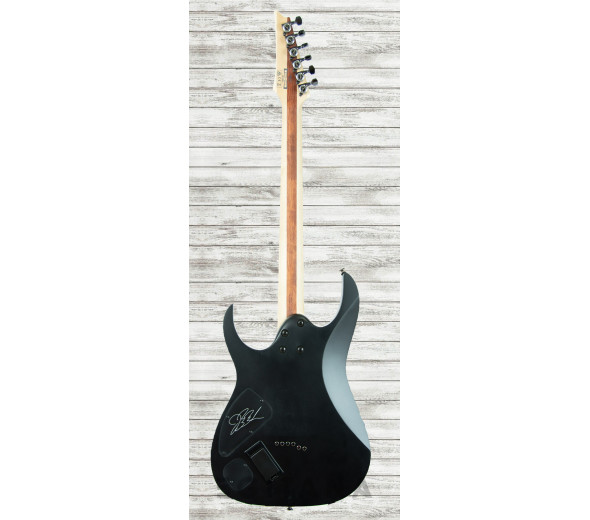 ibanez-jbbm30-bkf-jb-brubaker_60f970e39125b.jpg