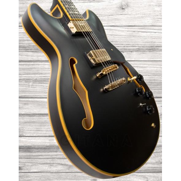 ibanez-jsm-20-black-low-gloss_5f5f8ba63172c.jpg