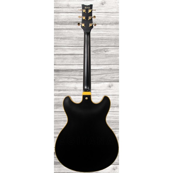 ibanez-jsm-20-black-low-gloss_5f5f8bab3fba2.jpg