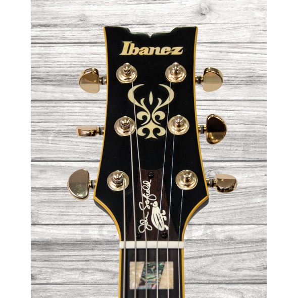 ibanez-jsm-20-black-low-gloss_5f5f8bac5a7af.jpg