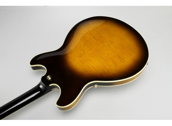 ibanez-jsm100-vt-john-scofield_6a04759e5b21a.jpg