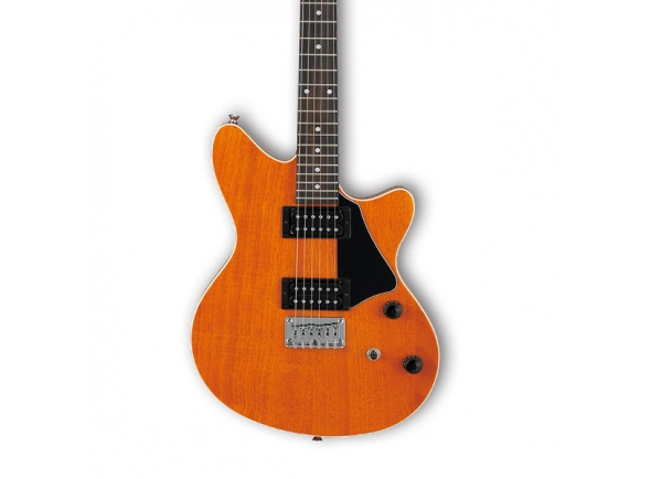 ibanez-rc220-aam_5dc3fa642137f.jpg