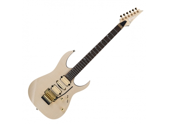 ibanez-rg1070fm-ntl_5caf2a584caed.jpg