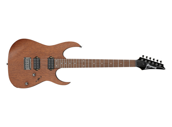 ibanez-rg421-mol_66978da56f31a.jpg