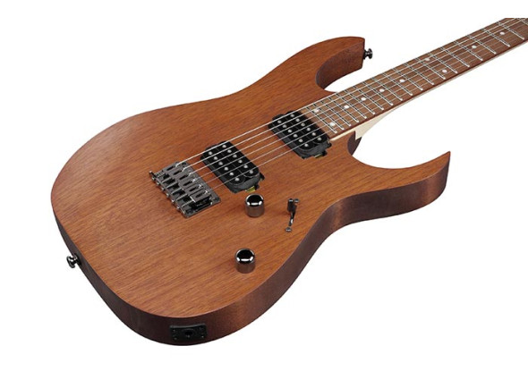 ibanez-rg421-mol_66978dabae7c6.jpg