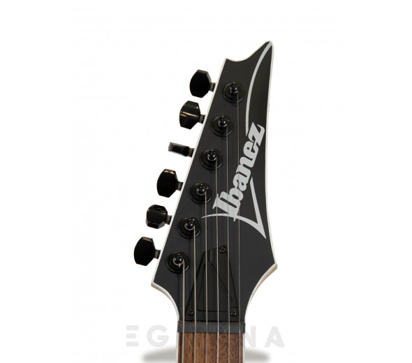 ibanez-rg421ex-bkf_6042043ccf667.jpg